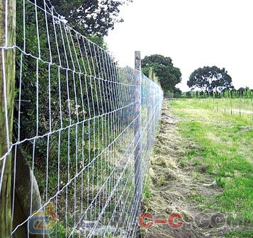 養殖場/養雞場護欄網 選擇、價格與專業廠家指南